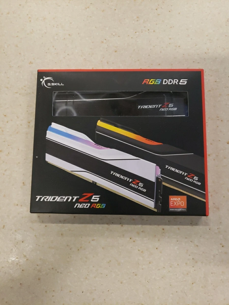 G. SKILL Computer Memory (RAM) 32 GB Total Capacity for sale | eBay