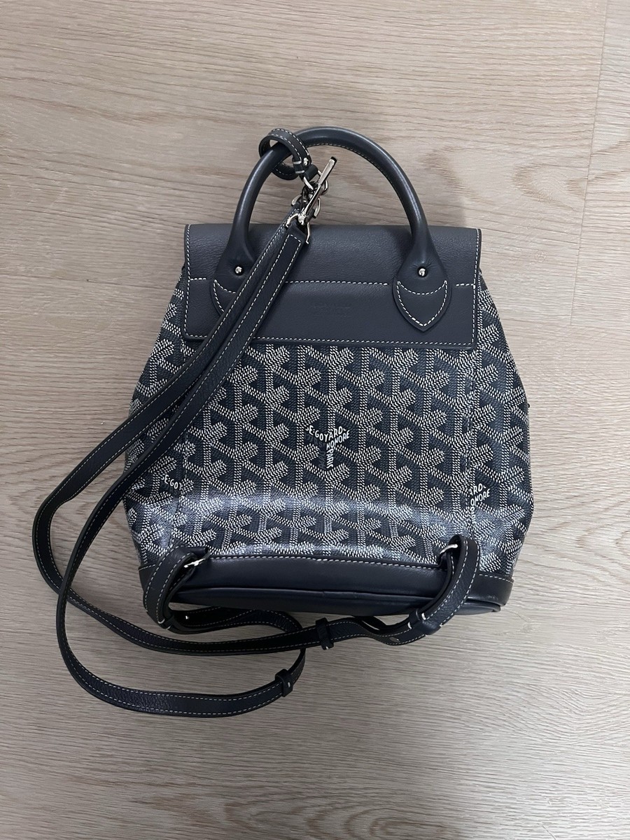 Goyard Mini Alpin Backpack Gray | eBay