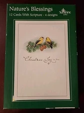 Nature's Blessings Christmas Cards with Scripture Sunshine Line by DaySpring NEW