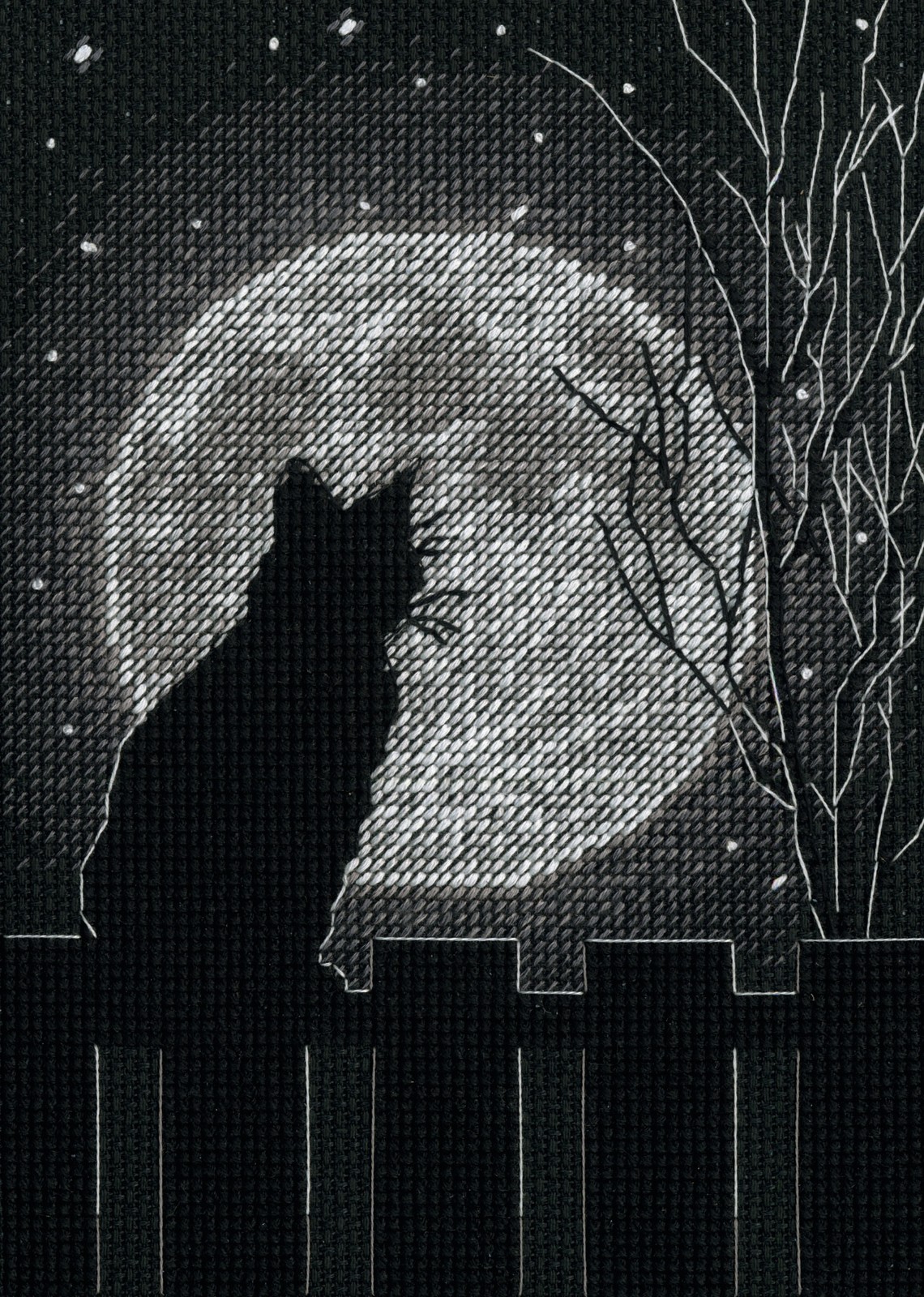 Dimensions Counted Cross Stitch Kit 5"X7"-Black Moon Cat (14 Count)