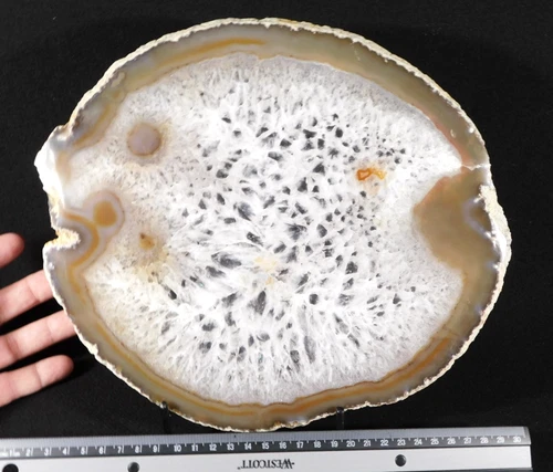 BIG! Translucent Polished Quartz Crystal NODULE Slice or Slab Brazil 898gr