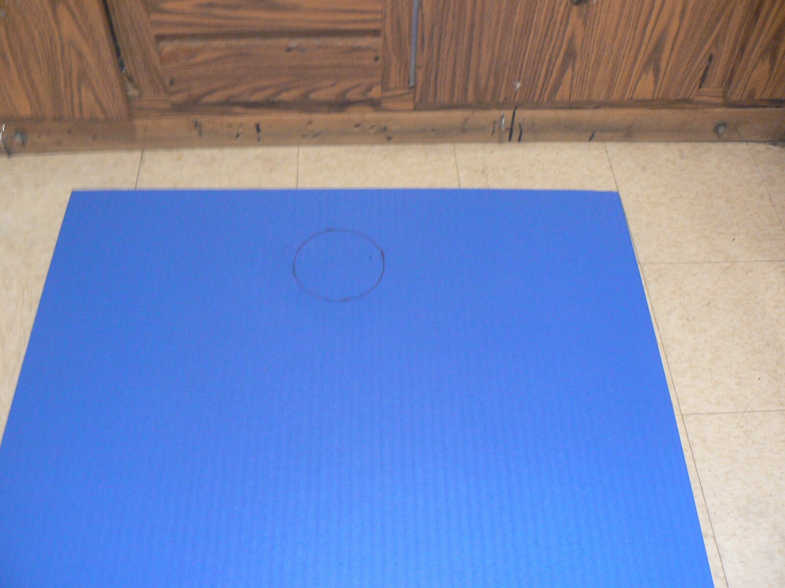 Dollamur Tatami Swain Mat. eBay