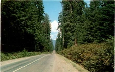 scenic drives Pacific Northwest Western Washington Highway tourist Postcard