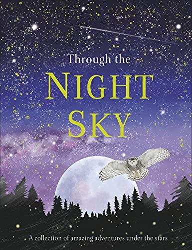 Through the Night Sky: A collection of amazing adventures under the stars (Snap - Image 3