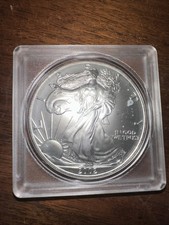 2002 1 oz Silver American Eagle (Brilliant Uncirculated) 75.00 per troy oz