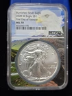 2020 W Burnished Silver Eagle NGC MS 70 First Day of Releaase Eagle Label 1oz $1