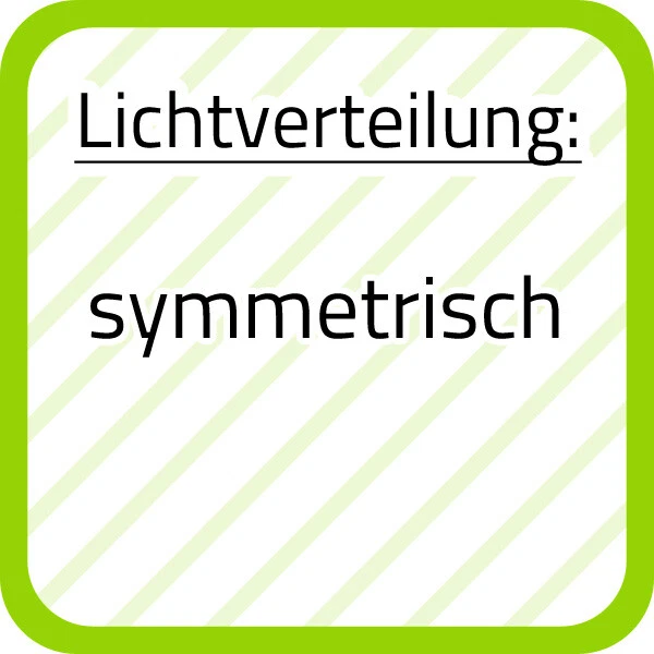 Bild 4 von 12