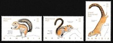 Namibia - Squirrel Set MNH 2020 Mi. 1616-1618