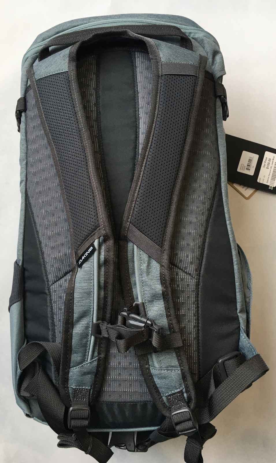 dakine 24l canyon backpack