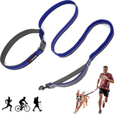 Hands Free Bungee Dog Leash  Lightweight for Running Jogging Walking  Adjustab