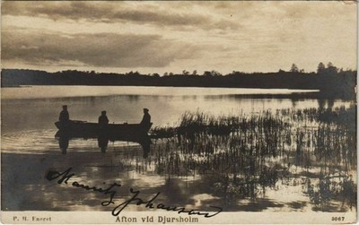 CPA DJURSHOLM Afton Video Djursholm SCHWEDEN (1119107)