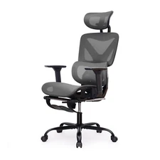 Deluxe Mesh Ergonomic Office Chair with Adjustable Lumbar Support