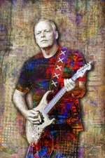 PINK FLOYD Music Art 20x30in Poster, David Gilmour of Pink Floyd Free Shipping