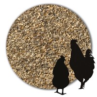 10 Kg Avesgran Magenkies Magengrit Magenkiesel GeflüGel HüHner Puten GäNse Enten