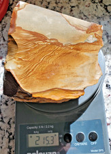 Owyhee Cripple Creek Picture Jasper almost 3 pounds, Blocky solid cabbing rough