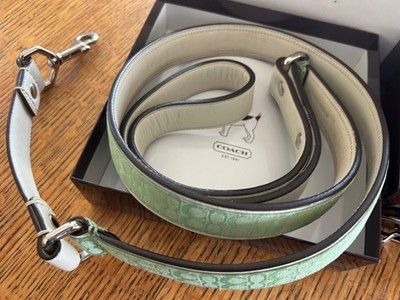 coach dog collar and leash mint green