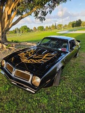 1976 Pontiac Trans Am for Sale