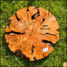 Large Olive Wood Live Edge Burl Cookies for Resin Projects, Wood Art
