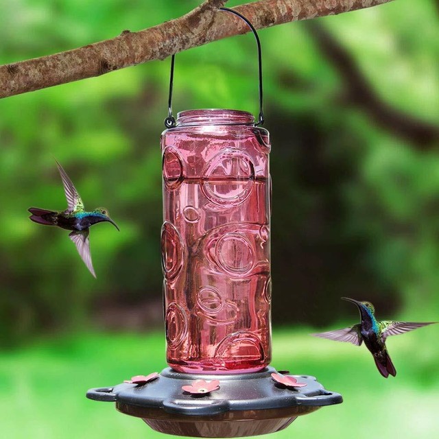 Blue Bunting 28 Oz Glass Hummingbird Feeder For Sale Online Ebay