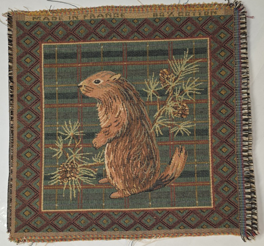 Vintage French Groundhog Marmot On Plaid Tapestry 10x10 Wall Art 1990s