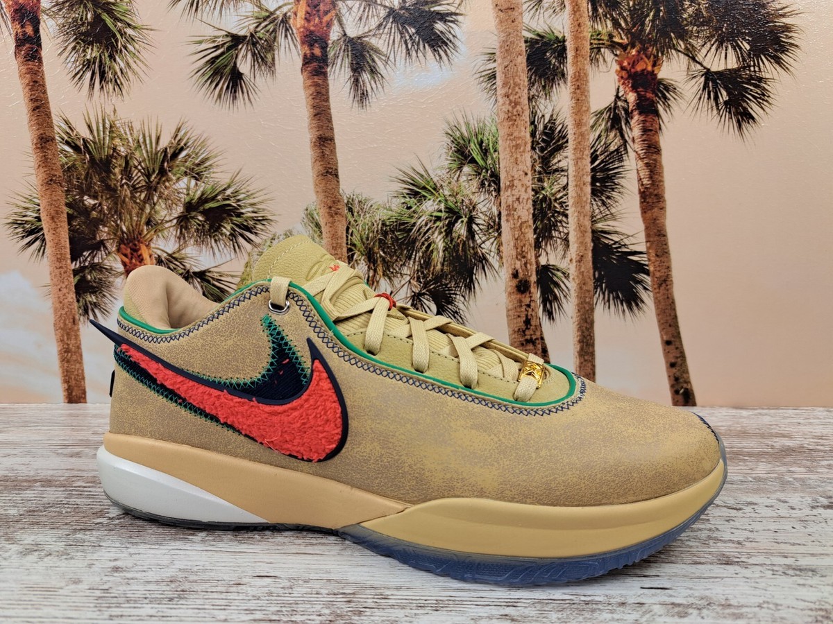 Nike LeBron 20 XX Four Horsemen Basketball Shoes DV9090-200