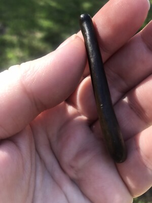 bass candy lures Rattler DS