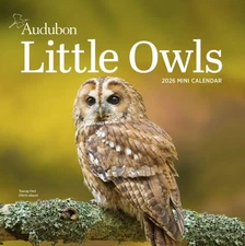 Audubon Little Owls Mini Wall Calendar 2026