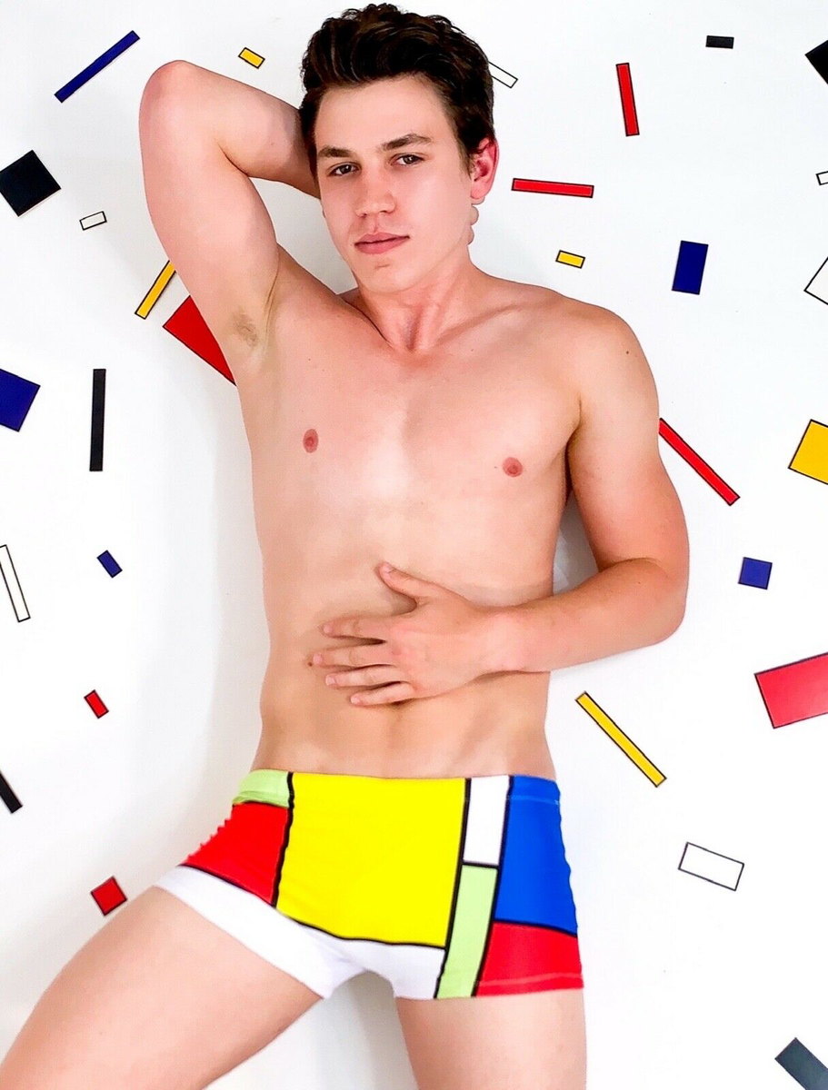 Mens Mondrian Inspired Square Cut Men's Swimsuit