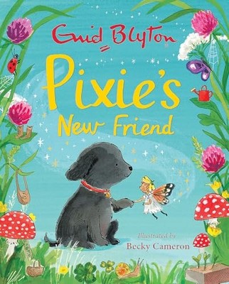 Pixie's New Friend by Blyton, Enid Hardback Book The Fast Free Shipping