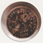 US Rare Old West 1881 Indian Head Penny Coin American Collection Shield Cent USA