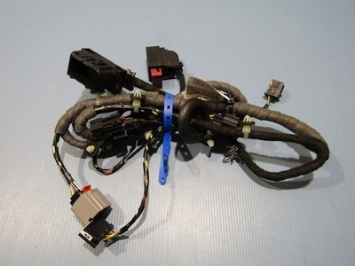Vauxhall GM Elektrischer Kabelbaum Haustür Original Teile-Nr. 39066661 REF V2-10