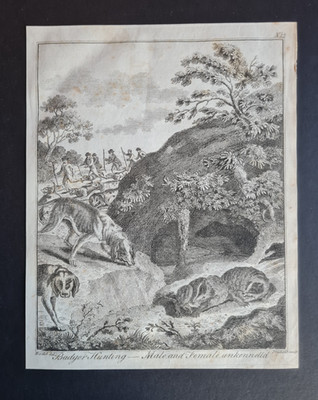 Antiker britischer Sportdruck von 1792 - Dachsjagd - Hunde - Daniel Dodd