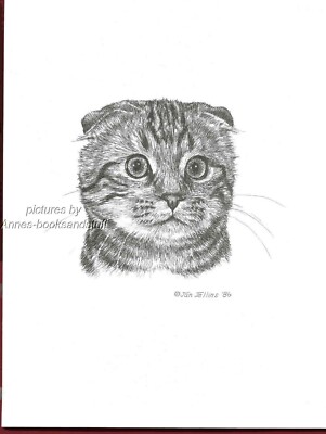 #392 SCOTTISH FOLD CAT PORTRAIT art print  *  pen & ink drawing by Jan Jellins