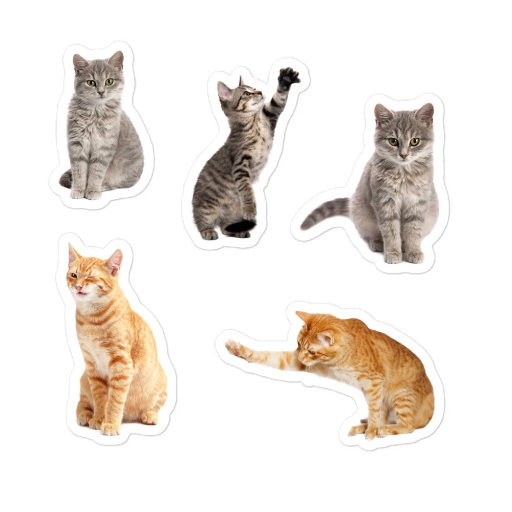 Cat Stickers Kiss Cut Cats Kitty Easy Peel Sticker Page Sheet 5 Fast  Dispatch