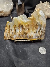 Graveyard Plume Agate w/ Multicolored Dendric Polished Slab Specimen (7.3oz)