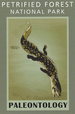 Petrified Forest National Park Paleontology Arizona Art Poster Postcard