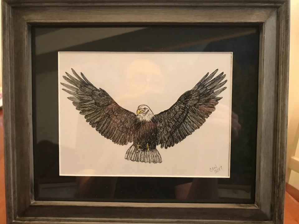 Framed and Matted Bald Eagle Pen and Ink Drawing, Original Artwork, Signed - Image 3 of 4