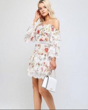 Alice and Olivia Floral Lace Spring Mini Dress