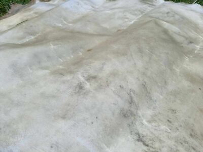 Echte Schaf Rohhaut Pergament - Naturleder Für Basteln, Kunst & Mittelalter