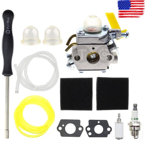 Weed Eater Carb 308054004 