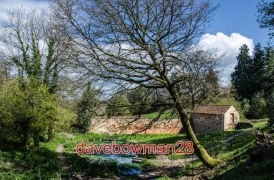 PHOTO  FYNE COURT: WATER GARDEN 2012
