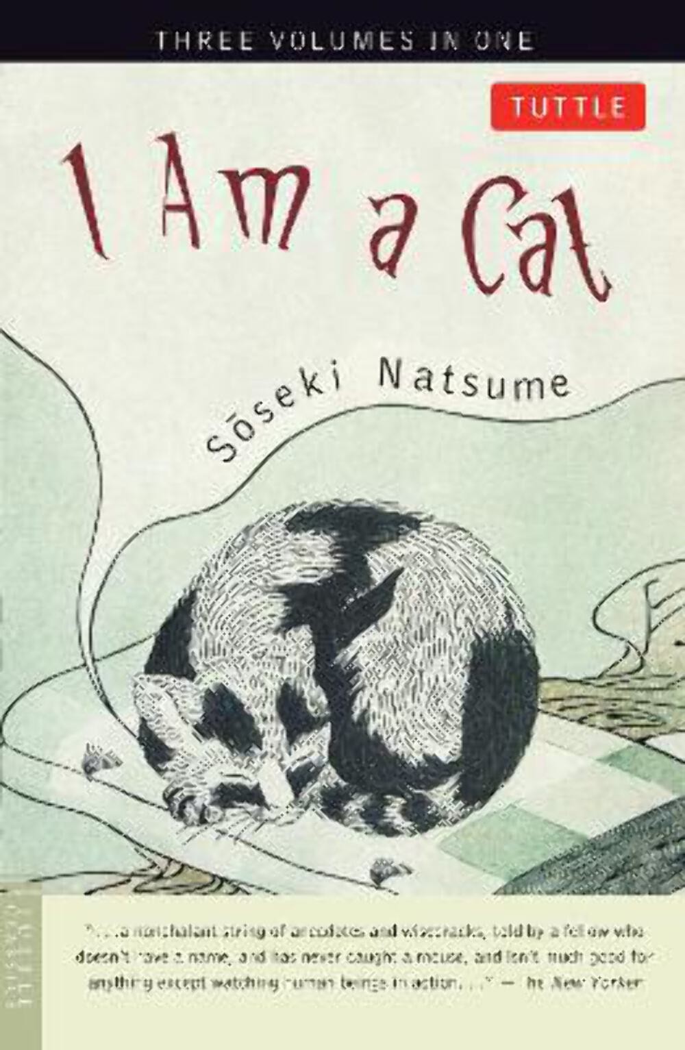 Soseki Natsume: I Am a Cat [2001] paperback