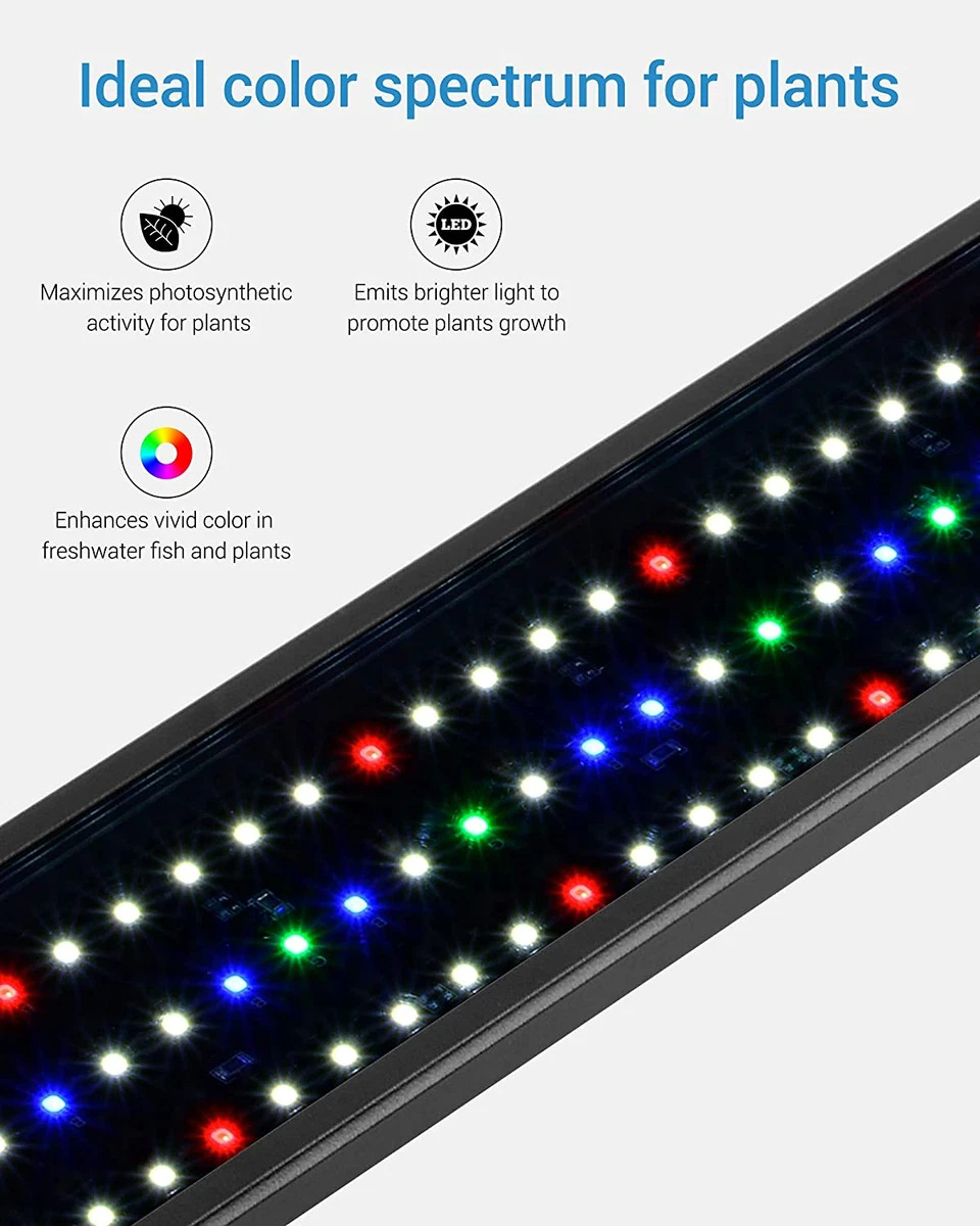 Nicrew classic led plus cheap