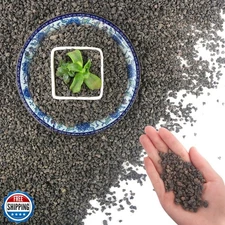 Mulctun 45Lb Horticultural Lava Rock-Lava Rocks for Plants,Succul