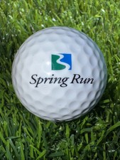 LOGO GOLF BALL - Spring Run Golf Course Club - Estero, Florida - FL