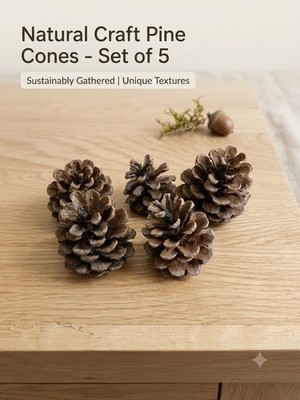 5 natürliche Tannenzapfen 6 cm getrocknet Florist Basteln DIY Ostern Wohndeko Zubehör