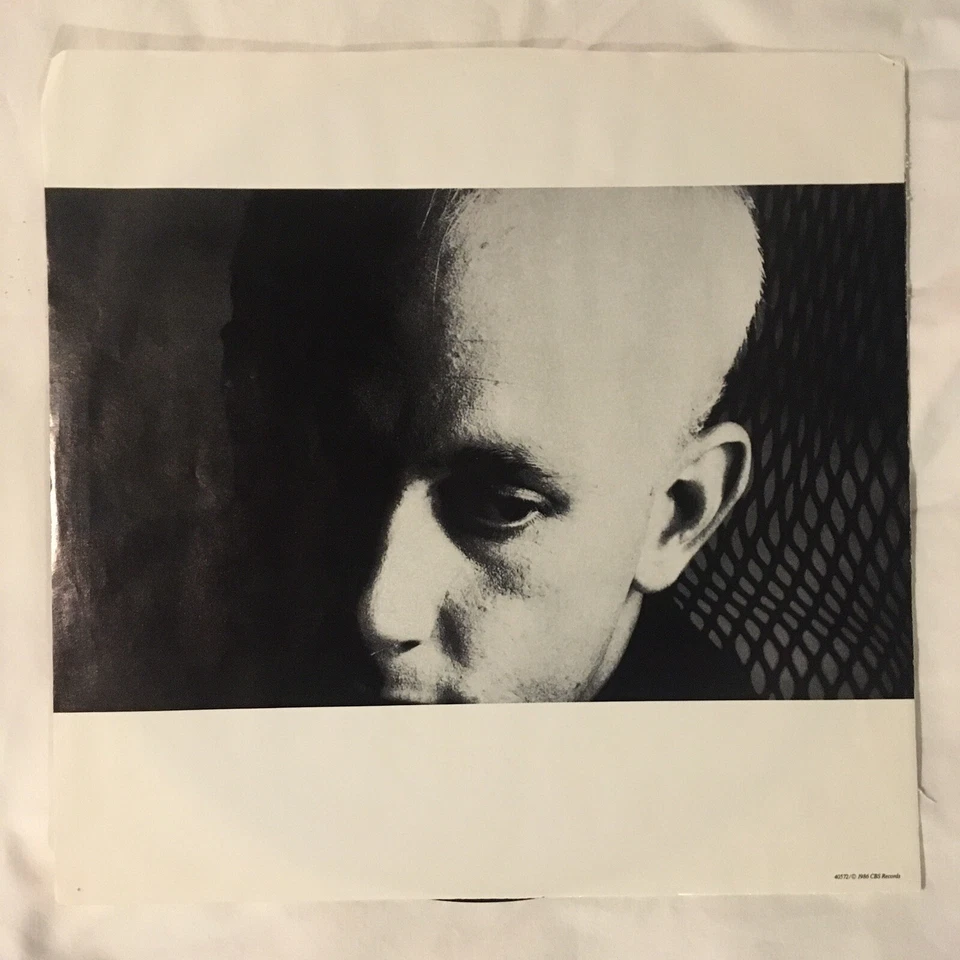 Dead Or Alive Mad, Bad And Dangerous To Know 1986 LP, E 40572 W/ OG Inner VG+/G+ - Image 3 of 4