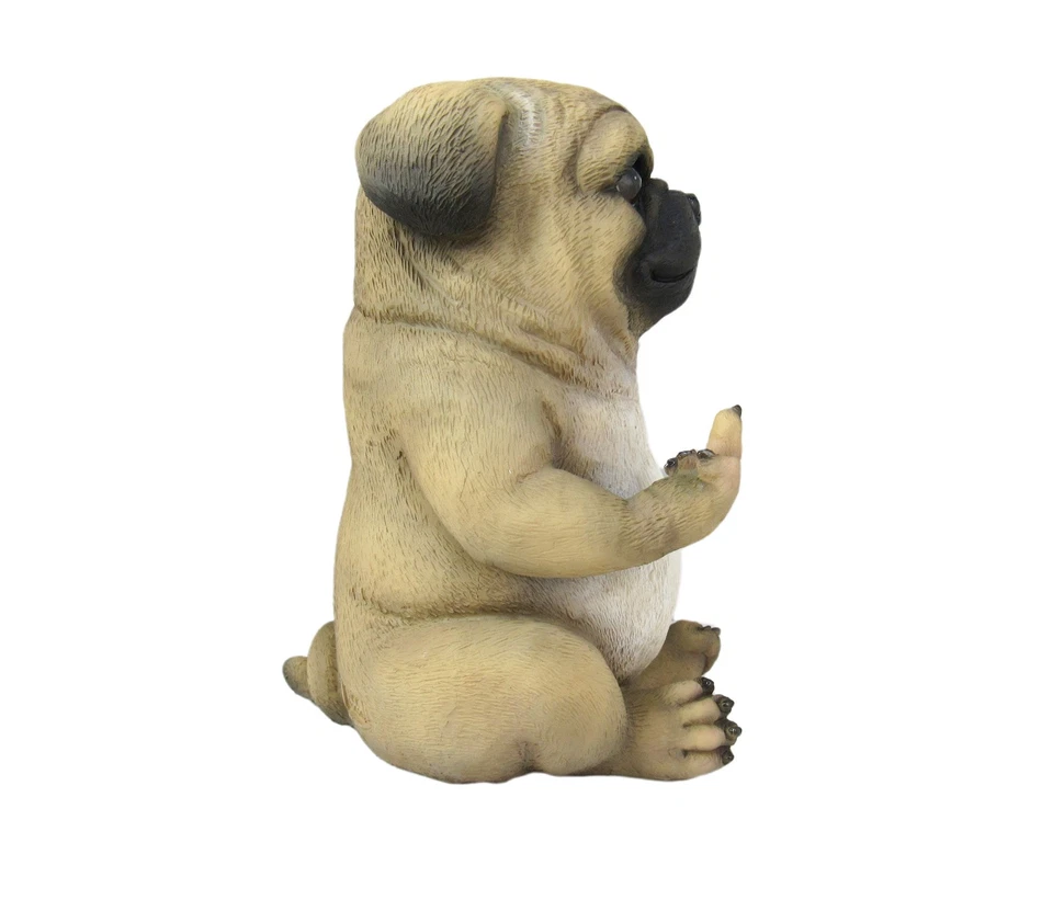 Estatua de mesa Pug Life Rude Finger Flipping Pug Dog 6,75 pulgadas de alto Foto 4 de 4