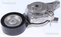 Triscan Riemenspanner, Keilrippenriemen U.A. FüR CitroËN, Ds, Peugeot