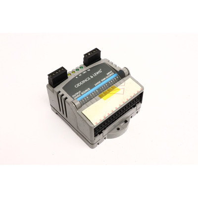 GIDDINGS & LEWIS M.1300.6042 R1 I/O Modul Sink/Source Input (B1290)